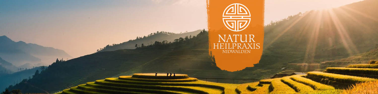 Alternativmedizin in Stans, Akupunktur, Shiatsu und Tuina